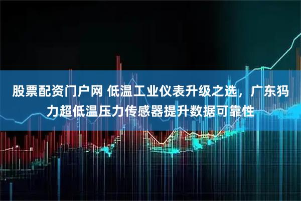 股票配资门户网 低温工业仪表升级之选，广东犸力超低温压力传感器提升数据可靠性
