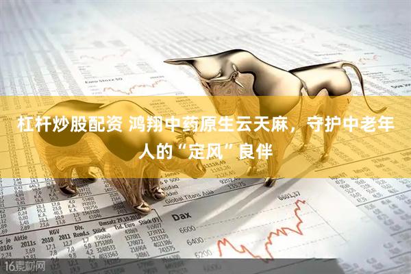 杠杆炒股配资 鸿翔中药原生云天麻，守护中老年人的“定风”良伴
